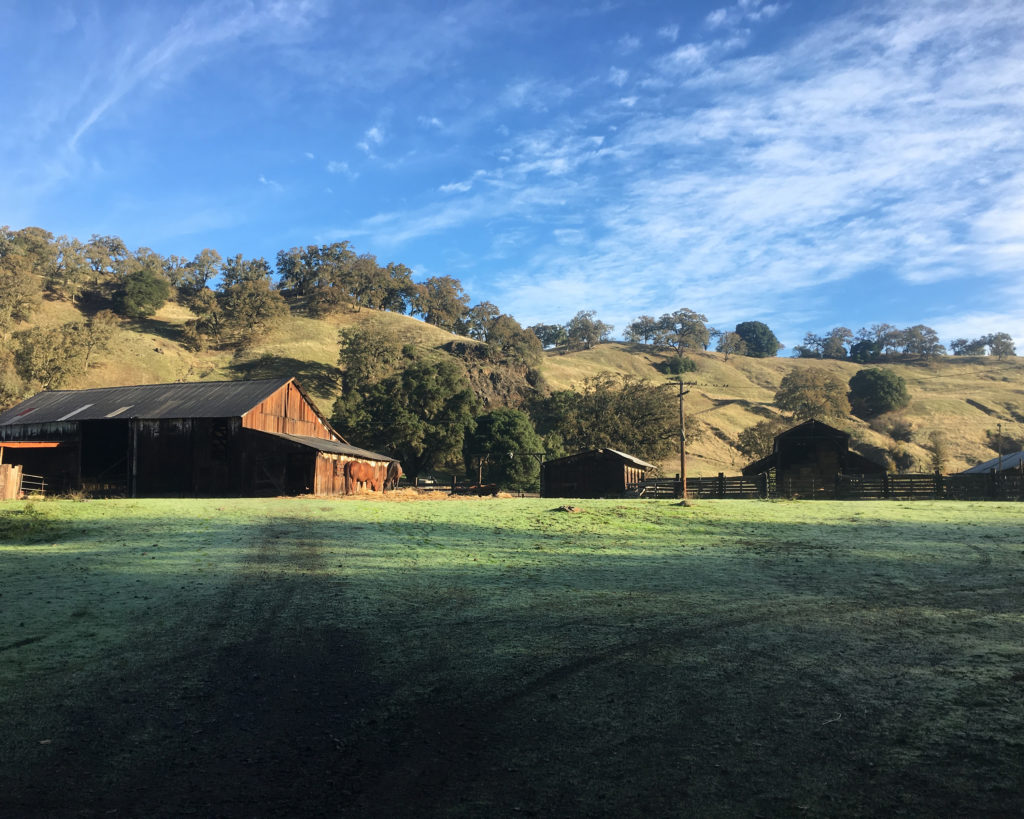 Katie Guntlycold Creek Ranch Potter Valley California Rangeland